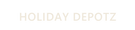 Holiday Depotz wordmark